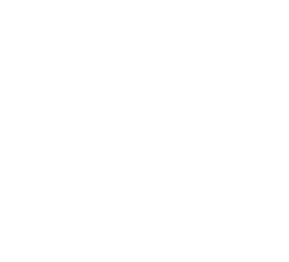 iMS logo
